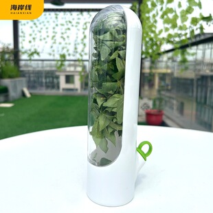 Cross-border vanilla vegetable fresh-keeping box anti-pressure environmental protection fresh-keeping device creative coriander fresh-keeping cup factory wholesale