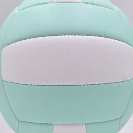 Free Printing Pu Volleyball No. 5 High School Entrance Examination Adult Training No. 4 Primary School Students Kidsren Kindergarten Soft Volleyball