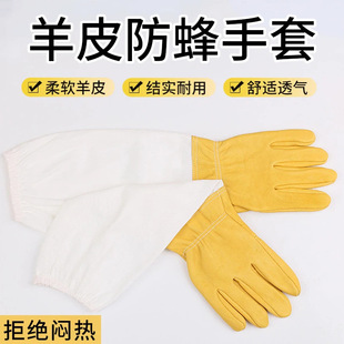 ��Ƥ�����B����o ���۷���U���o���׷��������Sɫ������Ƥ����