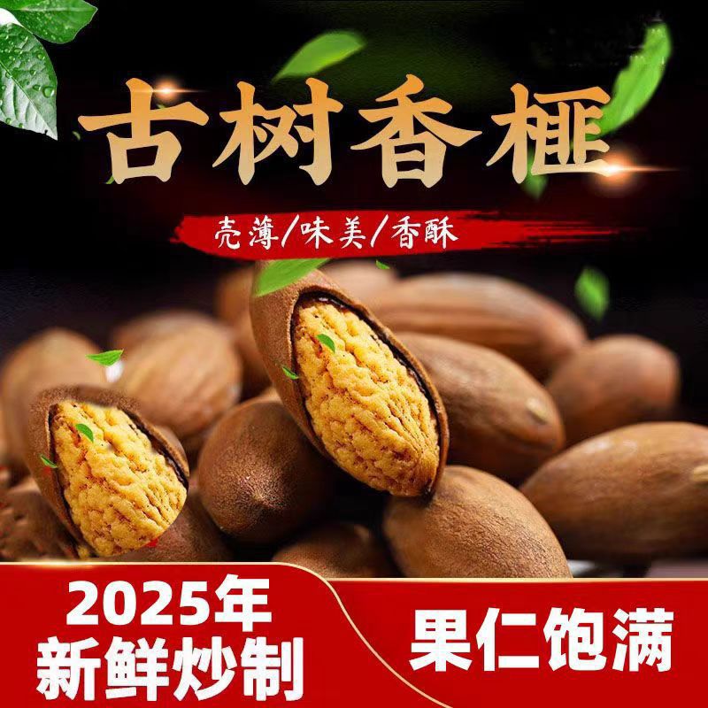 Torreya Seeds Xiang Fei Zi Dried Chinese Herbal Snack 100g Canister specifications