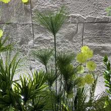 ��Ȫ���´��ٻ��Rβ�ɂ�ɳ�ݿ羳�b��JȔ��β�ݲ廨��ˇ����