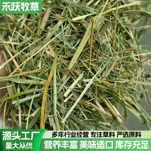 2025����z��ݶζ�3-5���ֿɴ��滨����ţ�R�����Bֳ�������