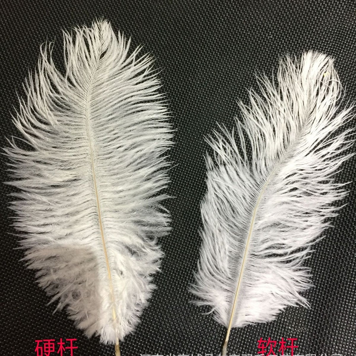 酒店橱窗婚庆羽毛 装饰可鸵鸟毛批发20-25CM软杆蛋糕装饰插件