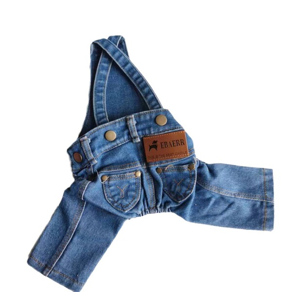 Denim autumn overall