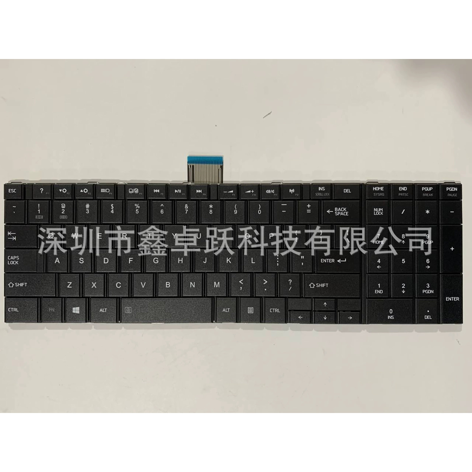 Compatible keyboard, C50, C50, C50, C50, C55, C55