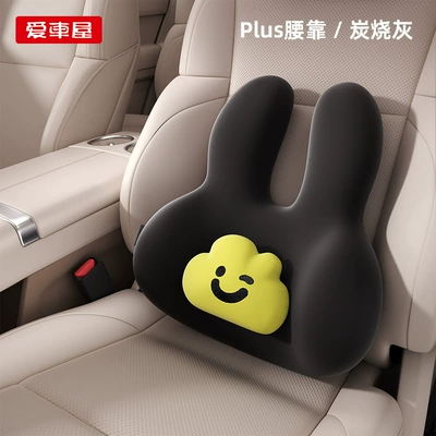 Pillow Car Backrest Cushion, Waist support - 10a-antibacterial-lumbar-support-i-629yg-h-1-charcoal-ash