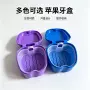 源头假牙义齿假牙盒