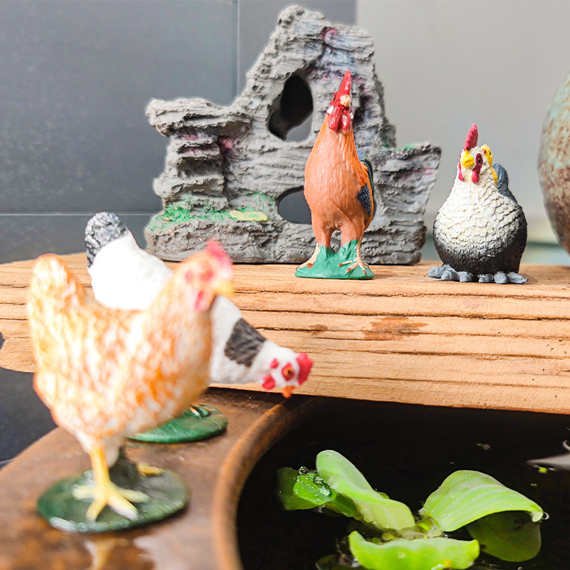 Venta caliente método antiguo de cultivo de peces adornos gallo junto al arroyo pollo jardín patio en maceta pecera paisaje acuático micro paisaje rocalla