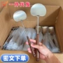 厨房家用不锈钢炒菜胡桃木