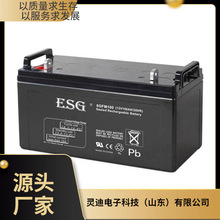 ESG��늳�6GFM100 12V100AH/10HR�ߵ͉���늙� ֱ���� EPS�Դ