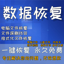 数据恢复硬盘文件电脑视频内存找回sd软件优盘U格式化修复工具卡