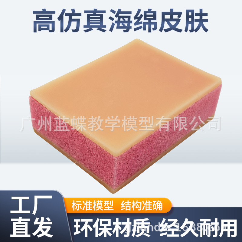 �����ϰģ�� ��ѧ�����Ƥ����ϰģ�� �轺����ע����ϰģ��