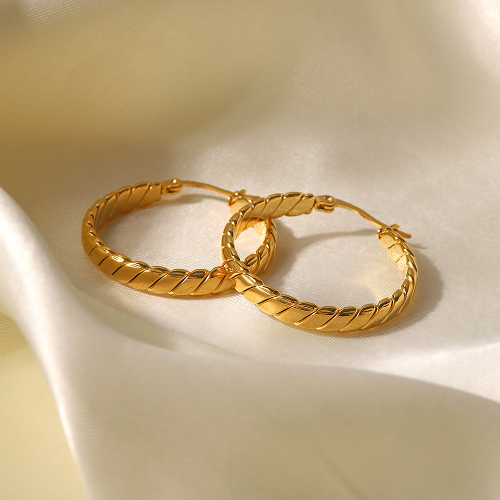 Exaggerated Geometric Stainless Steel Plating Earrings 1 Pair