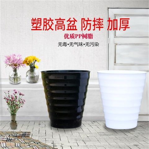 eff7f486-533c-4711-abed-9c5cce0ebd97.jpe