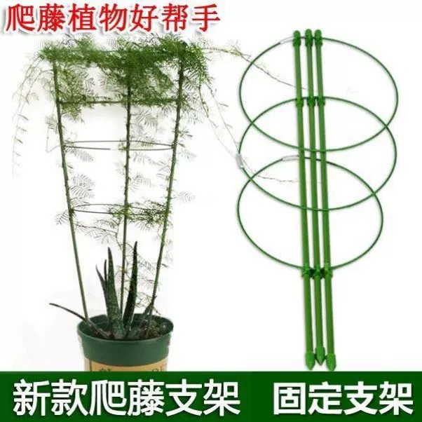 Бамбуковая опорная рама для восхождения на ротанговую раму