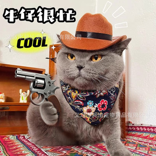 Cross-Border New Pet Western Cowboy Hat Jazz Hat Retro Fashion Cat and Dog Knight Hat Large Brim Hat