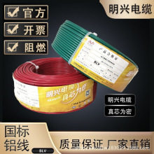 ���dBLV 2.5/4/6/10/16ƽ����ȼ��о늾������Xо��|�����X��