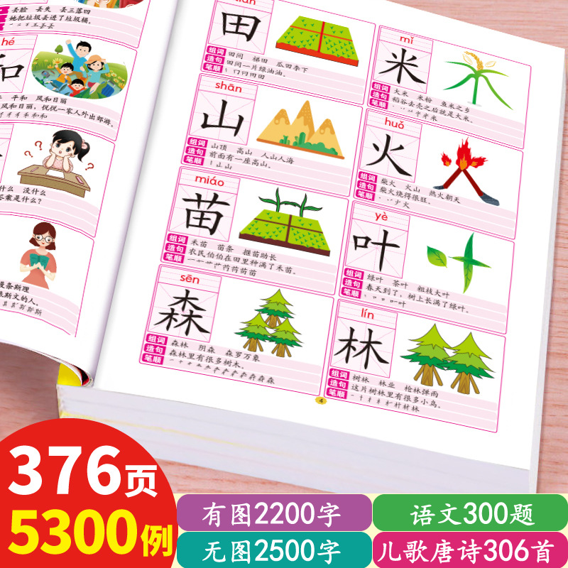 有声识字大王婴幼儿园小学生婴儿童早教益智启蒙学前认字书3000字