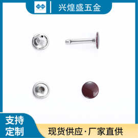 厂供金属撞钉单双面帽钉 铁铜蘑菇钉 防锈铆钉 烤漆圆面子母钉