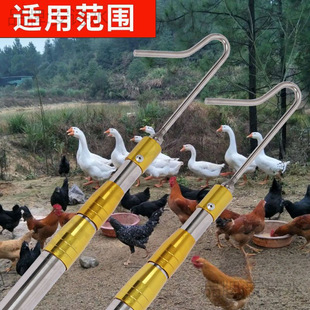 ���Z���u���h���Bֳ��ץ�u���u����׽�u�_�����h׽�u���߬F��