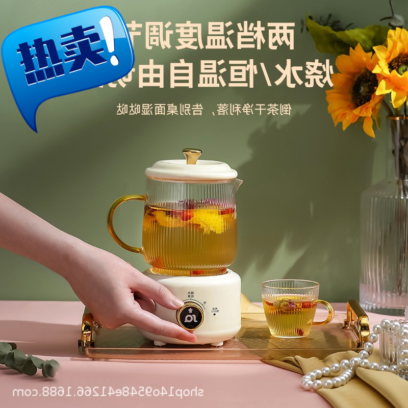 养生壶家用小型mini办公室烧水壶电煮茶器花茶壶秋冬礼品保健温控