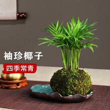 ����Ҭ��ֲ��̦�\���辰�҃��ļ����G���B�Gֲ�k�������愓���辰