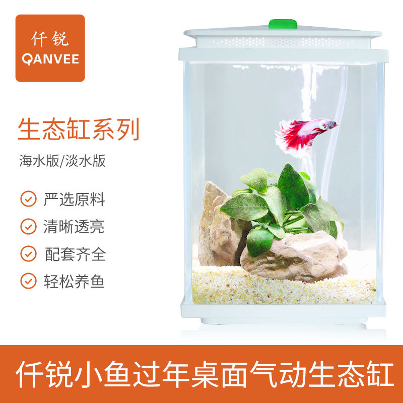 仟锐小鱼过年创新桌面小鱼缸迷你生态玻璃鱼缸懒人泡泡鱼缸