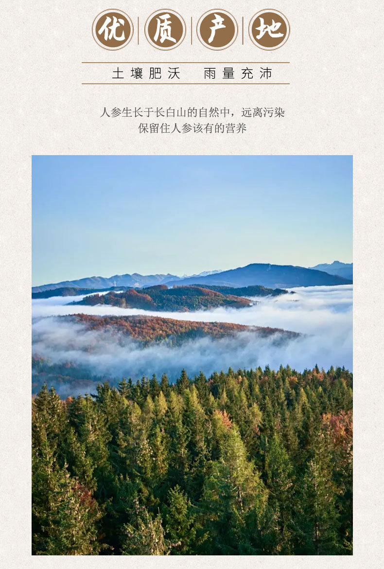 Changbai Mountain Aged Ginseng Gift Box 40cm Sun-Dried Whole Root 8-10g with Handbag key features