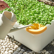 �N������߲˷Nֲ�������L�����ش����������ˮ��N����������