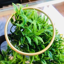 999婆婆新品送妈妈生日礼物足金5D古法手镯送国风水贝母亲节