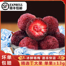 ˳������������÷3��������������÷���򾩵¸��䶳��÷����