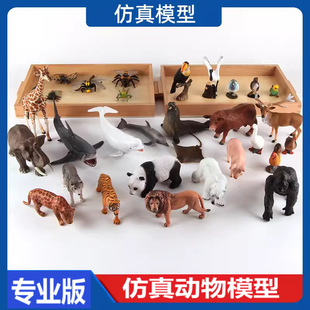 �������ģ�� ��ͯ�������������b�����J֪Ұ������@���Ͻ̾�