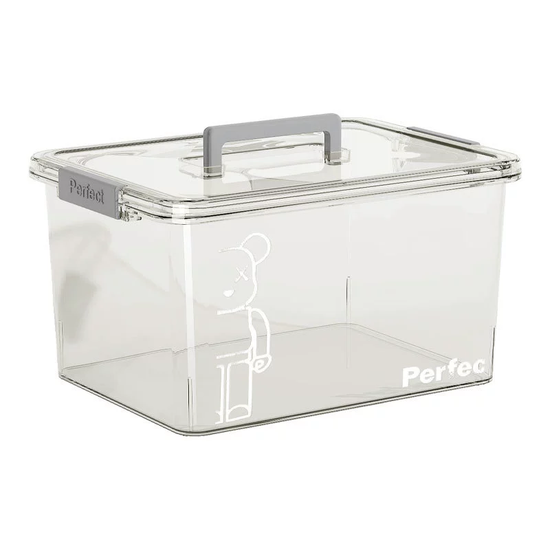 Handheld storage box, transparent plastic toy