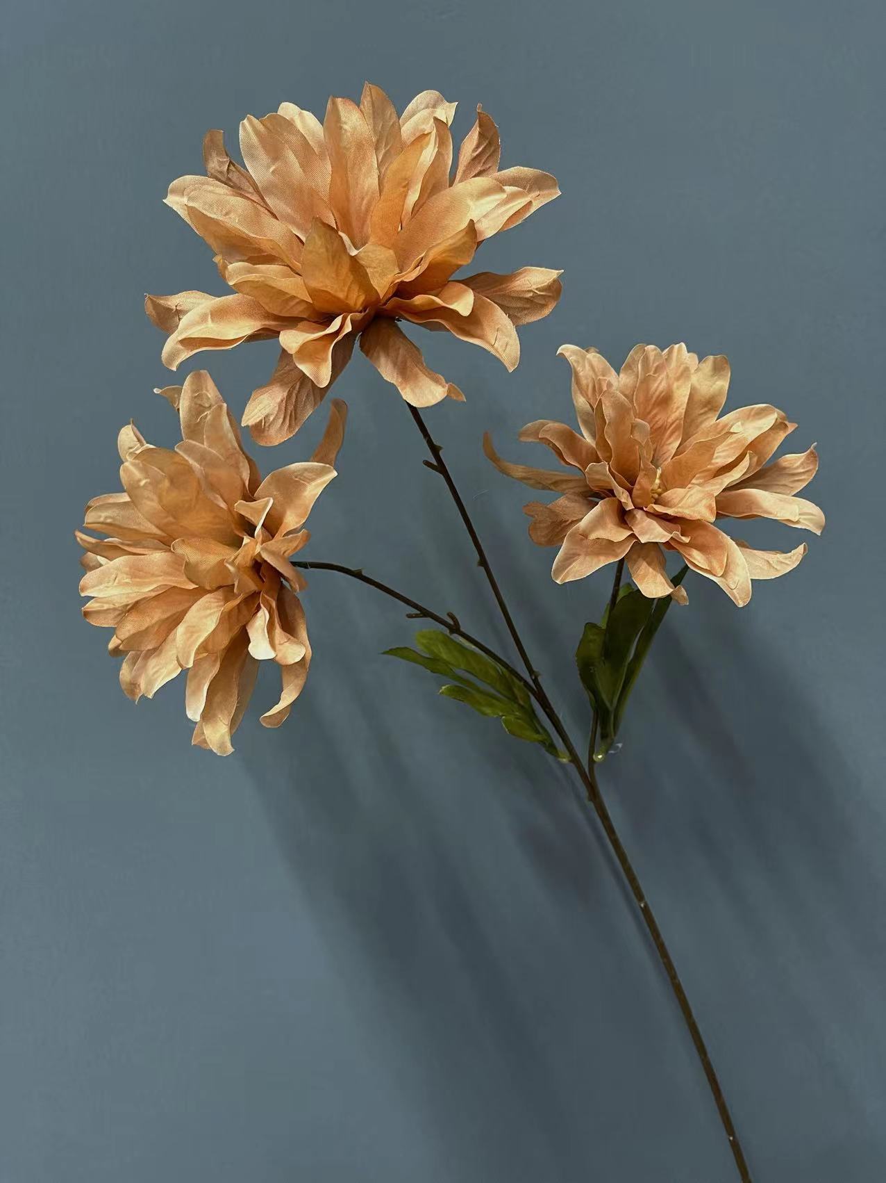 微信图片_20240107101429