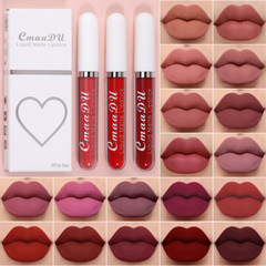 Cross-border color cosmetics lip gloss 3-piece set gift box matte fog finish lipstick three pieces foreign trade AliExpress