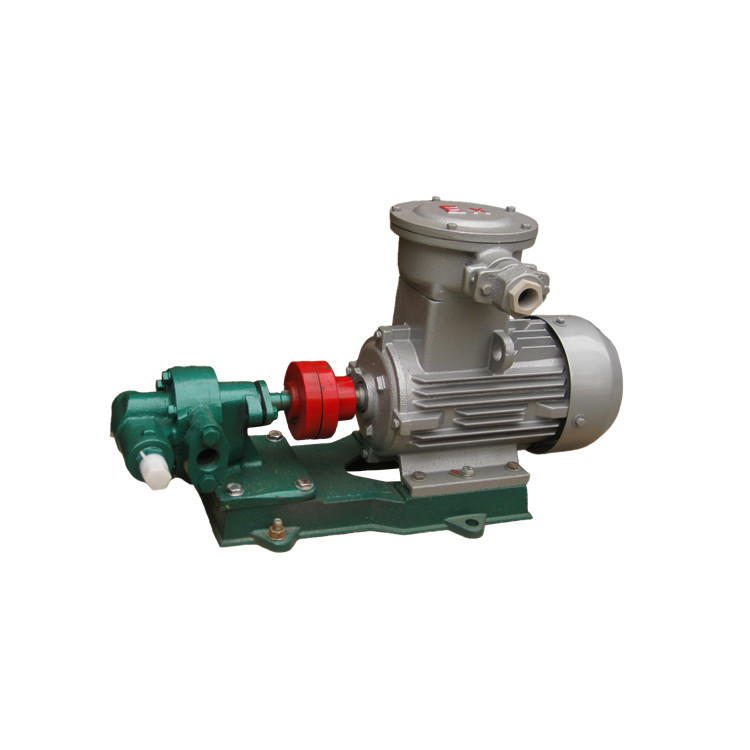 2CY18.8不锈钢齿轮式润滑泵  防爆卧式齿轮油泵 齿轮润滑泵