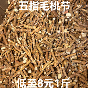 ��ָë�ҹ����l�Ҝ��� ��ָţ�̏V���a�ع��� ��؛��ָë�Ҹ�