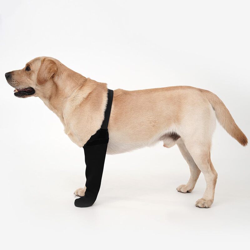 Cross-Border New Dog Recovery Set, Front Leg Postoperative Recovery Set, Auxiliary Belt, Knee Pads, Anti-Licking Pet Protective Gear