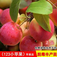 �޽�123С�O�������ͺ�ɳ���u�Ĺ��ϱ����Nֲ����Y�����Ĺ�����