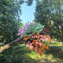 Gֲ֧~Yb·ŴbG~~F؛l