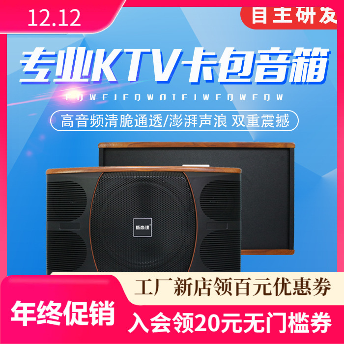 Aula multimedia KTV 10 pulgadas bolsa de tarjetas profesionales altavoces de capacitación tienda de audio de sala de conferencias doméstica
