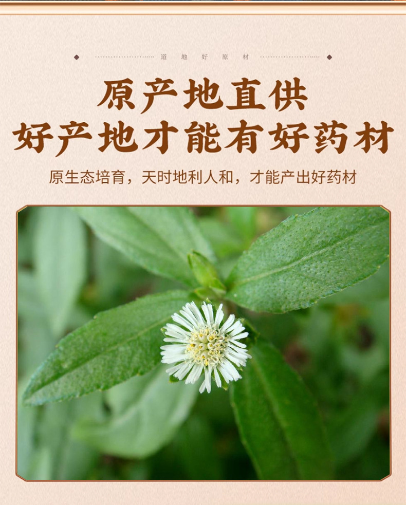 Dried Eclipta Herb Mo Han Lian 500g Whole Plant Traditional Chinese Herbal Tea Ingredient key features
