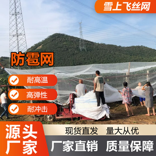 Spot High-Quality Anti-Hail Mesh Supplies Grape Orchard Mesh New Anti-Aging Encrypted Edge Anti-Hail Mesh