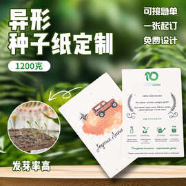 跨境生日贺卡种子纸定制祝福感谢表白留言卡ins风会发芽的明信片