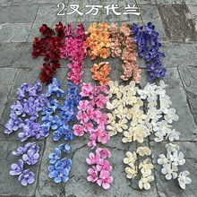 �¿��ɫ��c�����m���S�� 2���f���m���@�L��Y�����bٻ����l