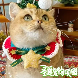 猫猫玩具;狗狗玩具;狗狗窝/笼/垫