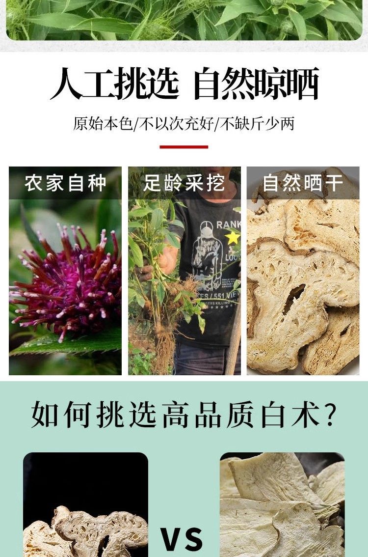 Wild Bai Zhu Dried Atractylodes Root Slices 500g Zhe White Atractylodes for Decoction and Soup key features