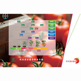 Германия Bayer wo Shengfeng Элементный элемент воды -Соберистое удобрение жировое жир кальций кальций кальций кальций кальций кальций кальций 250 мл