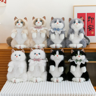 ����������؈����؈�乫��ë�q��ߴ�̖ܛ�w��ż�����ރ�ͯ�Y