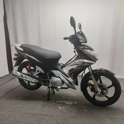 High-Speed Two-Wheeled Electric Vehicle, Motosikletlər